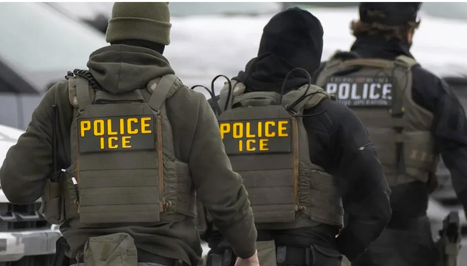Casa Blanca responde a reportes sobre arrestos de ICE y asegura que muchos detenidos sin récord en EE.UU. tienen antecedentes en otros países